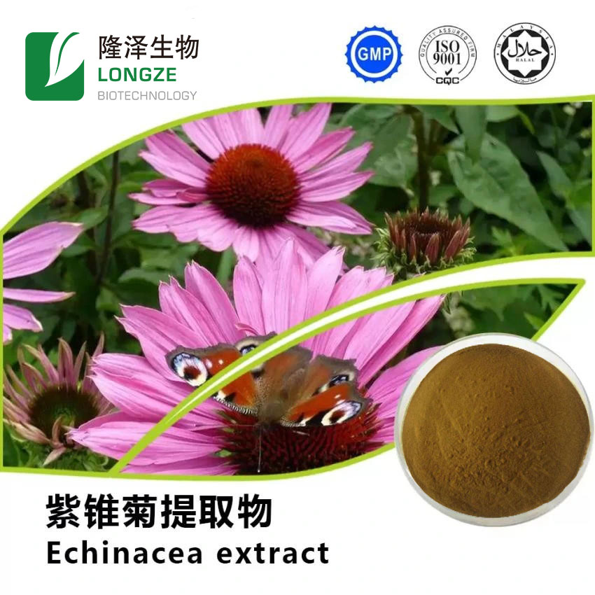  Echinacea Purpurea Extract Powder With Polyphenols Cichoric Acid