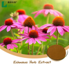 Echinacea Factory Stock Herbal Extract Polyphenol Echinacea Echinacea Root Extract