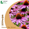 Echinacea Extract 100% Natural Plant Extracted Cichoric Acid Powder