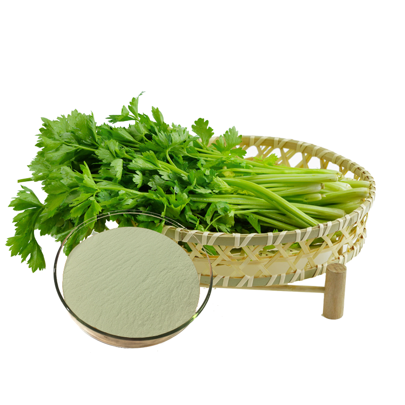 Natural Celery Powder for Sale Longze Biotechnology