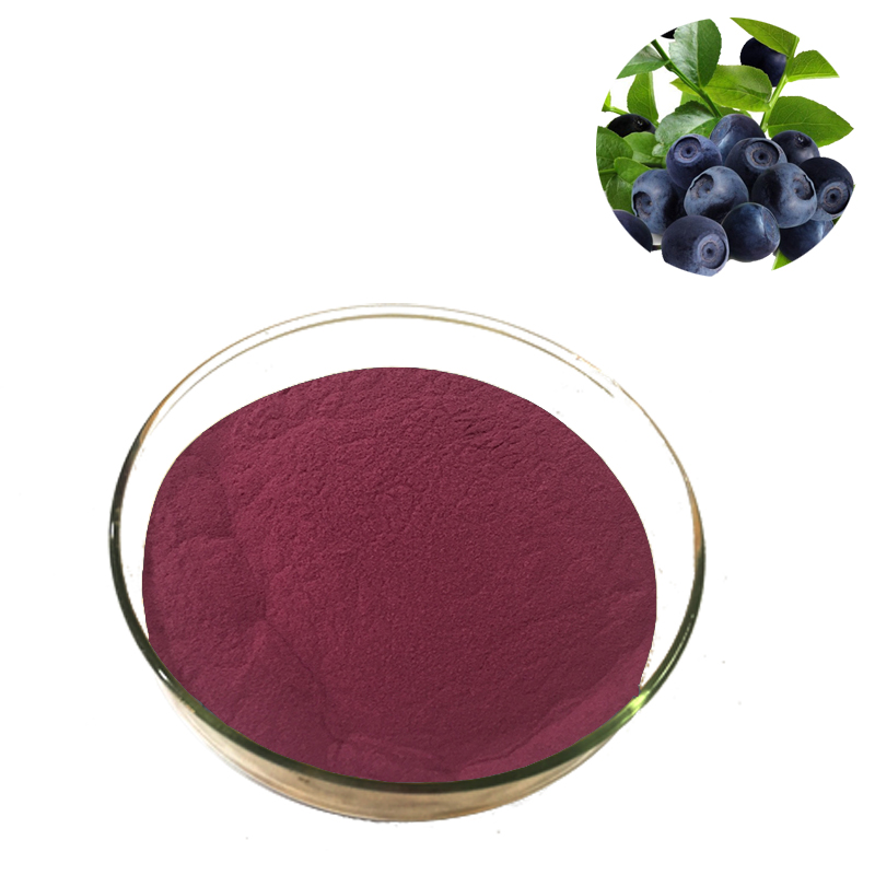 Bilberry Berries Powder