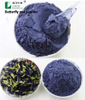 Butterfly Pea Extract Butterfly Flower Tea