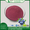 Blueberry Extract
