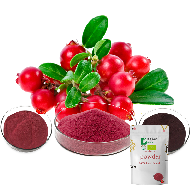 High Quality Cranberry Juice Powder Cranberry Fruit Juice Powder Cranberry Powder