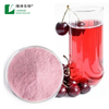 Malpighia Glabra Vitamin C Acerola Cherry Extract Powder 