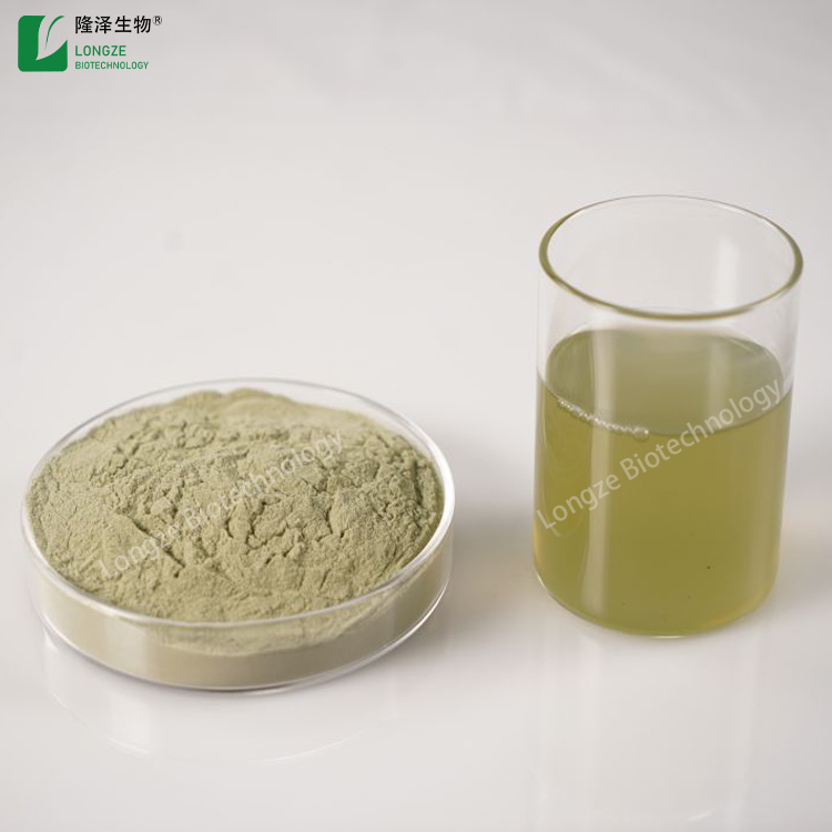 bulk Spinach Extract powder for Sale Longze Biotechnology