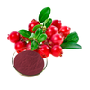 Cranberry Extract Powder Proanthocyanidins