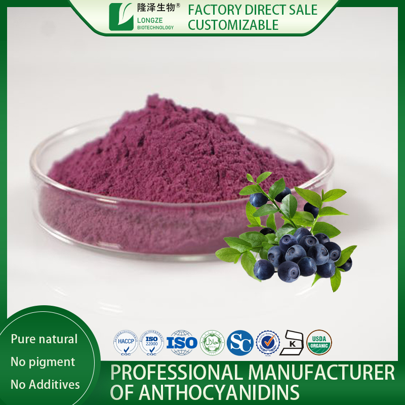 Bilberry extract powder china manufacturer Longze Biotechnology