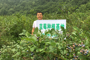 In-2015,-the-company-actively-responded-to-the-national-targeted-poverty-alleviation-policy-and-cooperated-with-local-farmers-in-Jilin-to-establish-blueberry-and-purple-corn-production-bases.