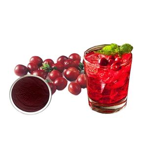 High Quality Cranberry Extract Powder Proanthocyanidins 36%