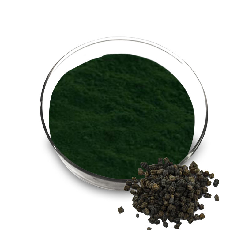 Chlorophyll Powder for Sale Longze Biotechnology