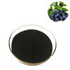 Bilberry (Vaccinium Myrtillus) Plant Extract Powder
